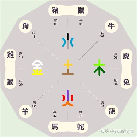 子五行属什么